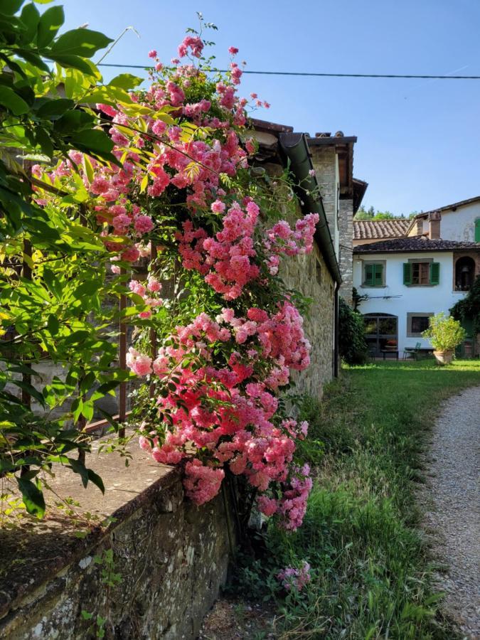 基安蒂格雷夫La Casa Nel Chianti公寓 外观 照片